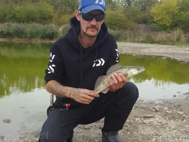 Zander