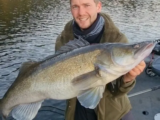 Zander