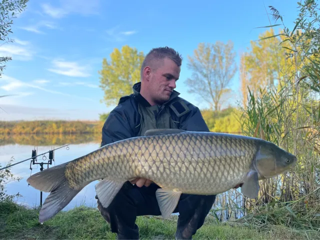 Graskarpfen