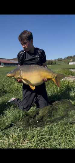 Karpfen