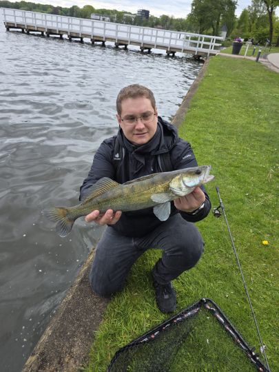 Zander