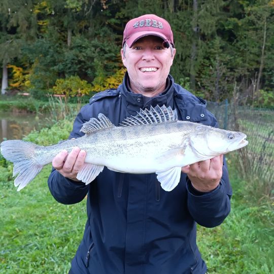 Zander