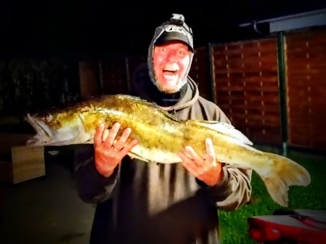 Zander
