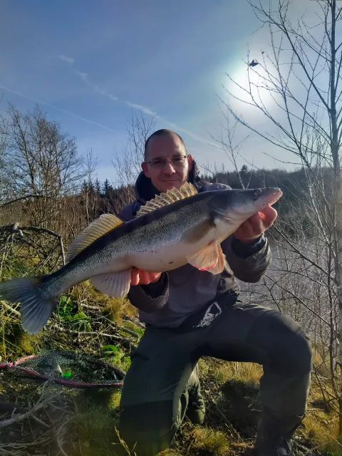 Zander