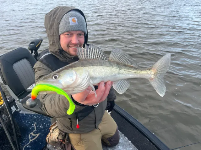 Zander