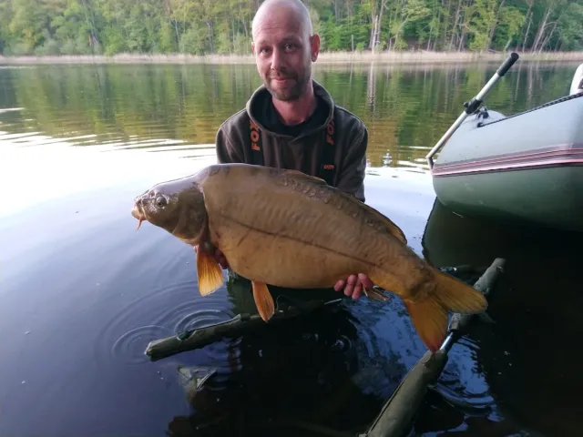 Karpfen