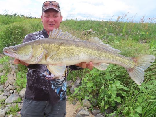 Zander