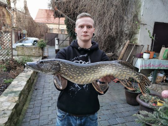 Hecht