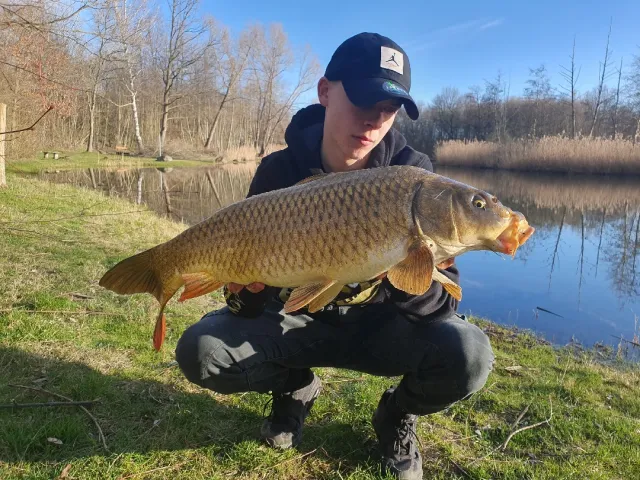 Karpfen