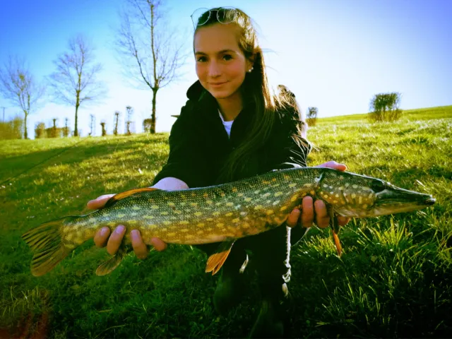 Hecht