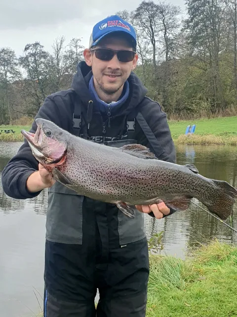Regenbogenforelle