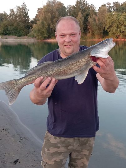 Zander