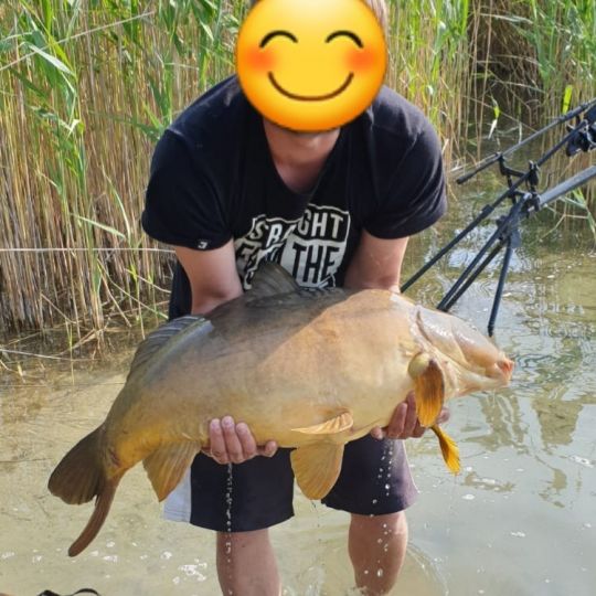 Karpfen