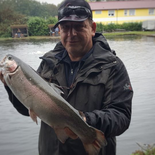 Regenbogenforelle