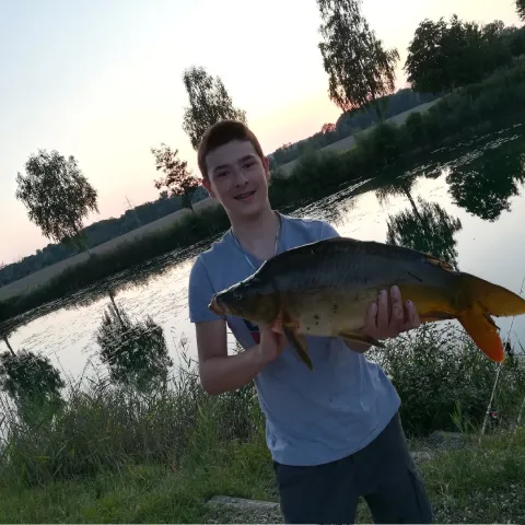 Karpfen