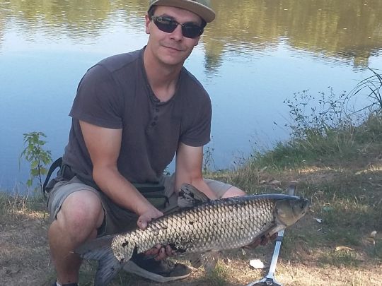 Graskarpfen