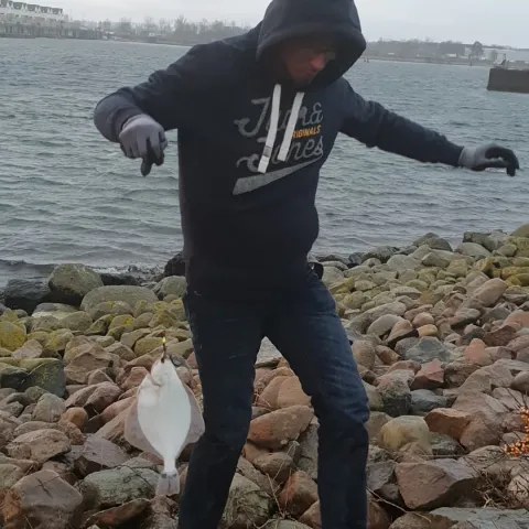Flunder
