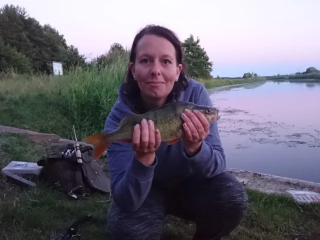 Flussbarsch