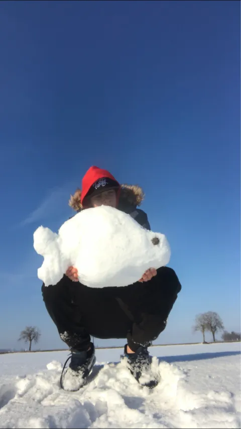 Karpfen