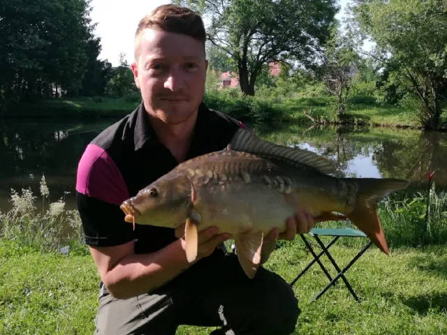 Karpfen