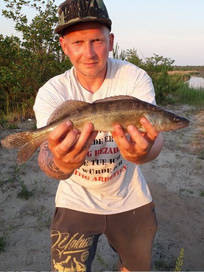 Zander