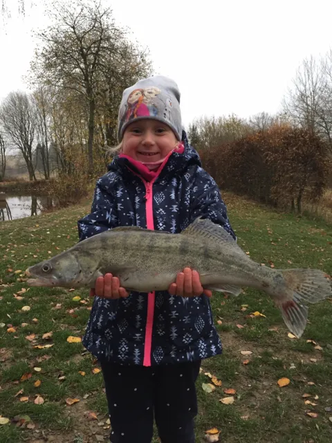 Zander