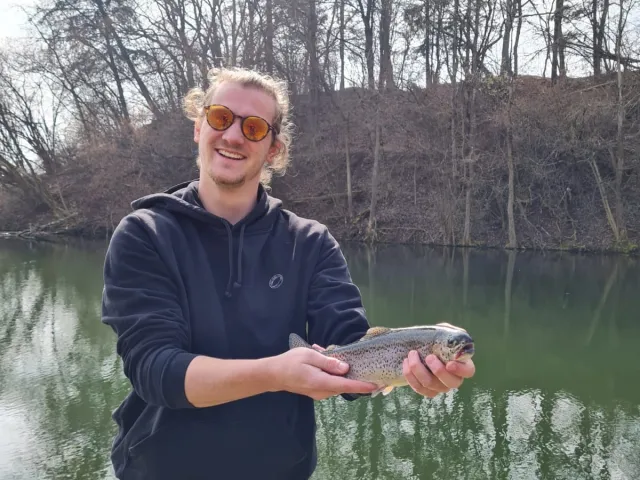 Regenbogenforelle
