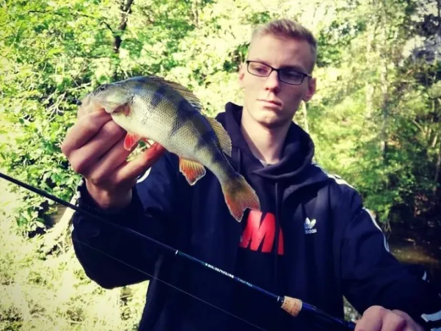 Flussbarsch