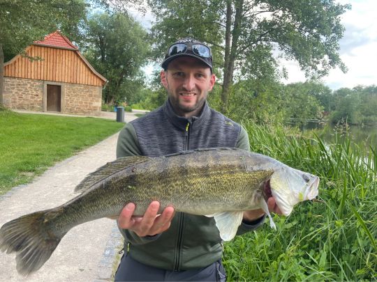 Zander