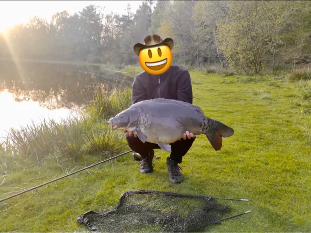 Karpfen