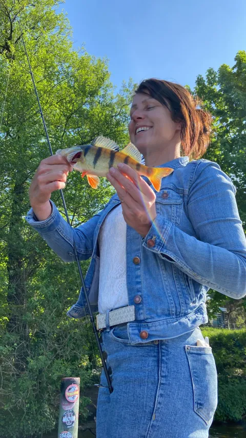 Flussbarsch