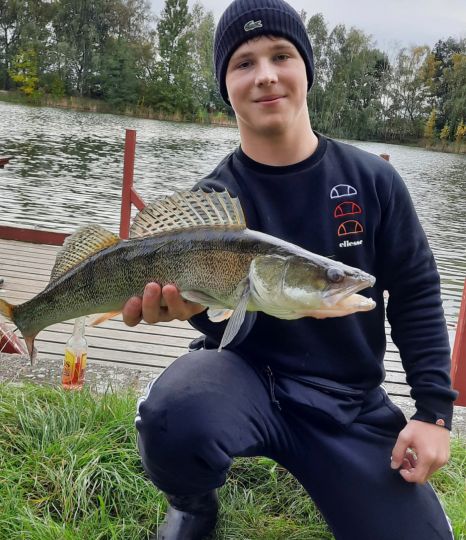 Zander