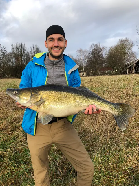 Zander