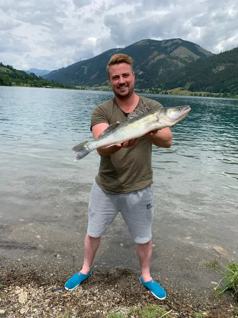 Zander