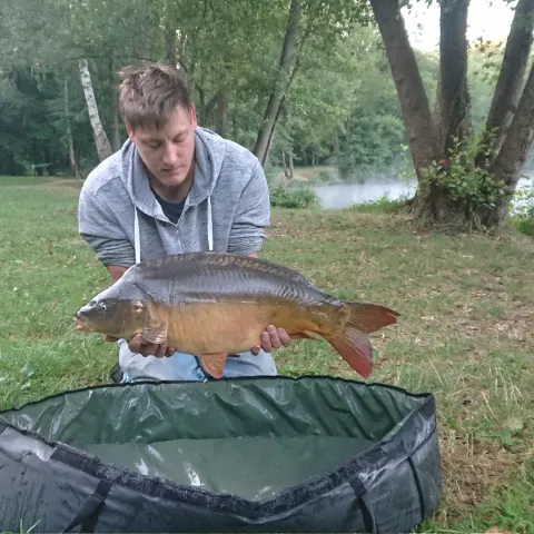 Karpfen