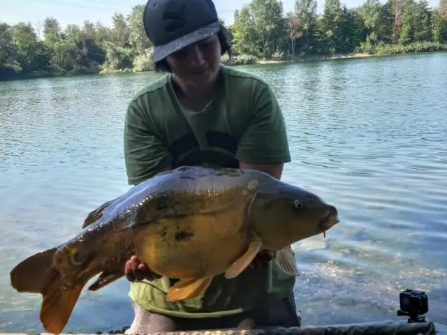 Karpfen