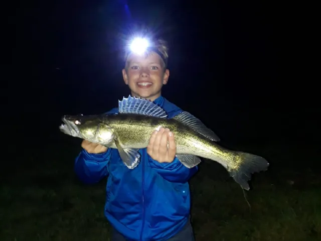 Zander