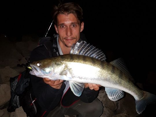 Zander