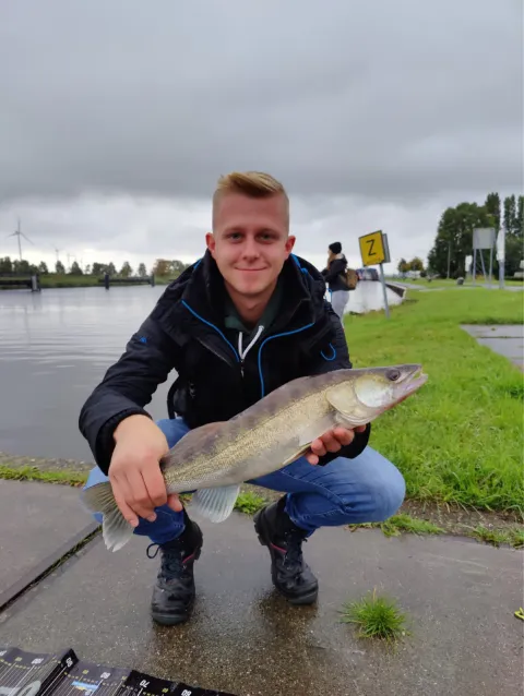 Zander