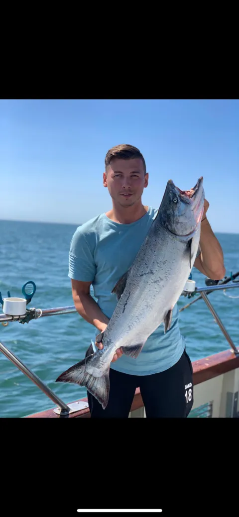 Lachs