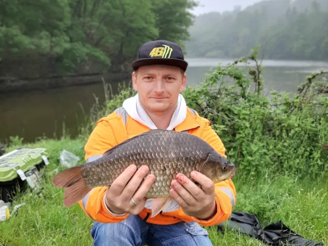 Karausche