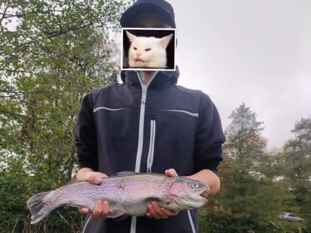 Regenbogenforelle