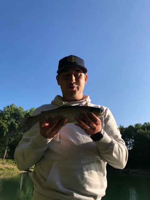 Regenbogenforelle