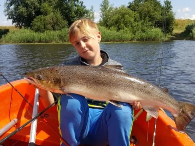 Lachs