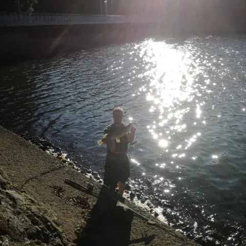 Hecht