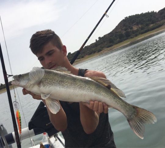 Zander