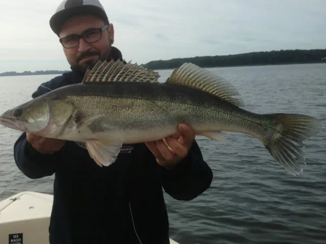 Zander