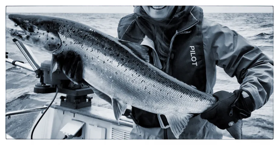 Lachs