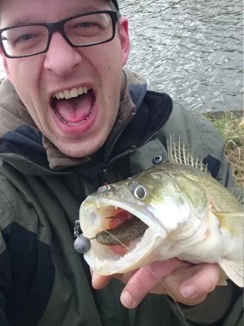 Zander