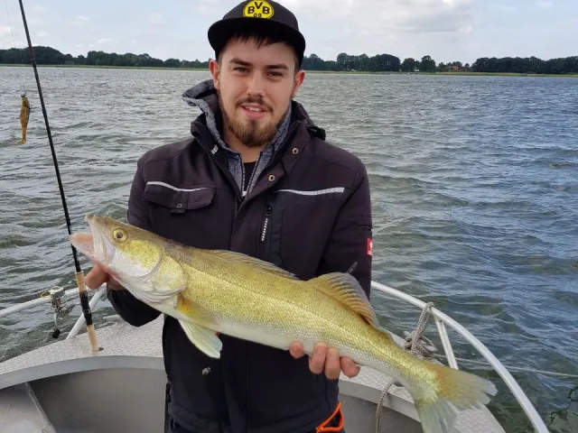 Zander